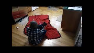 Video preview image #1 Labbe Puppy For Sale in Princeton, MN, USA