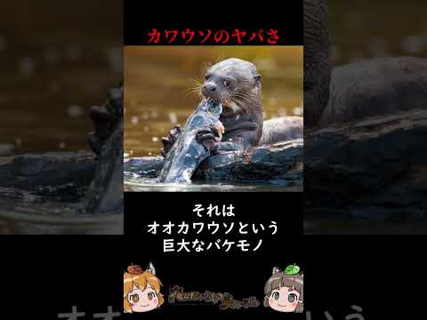 カワウソは危険ですか?