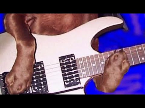 Killer Ratz - Bastortion