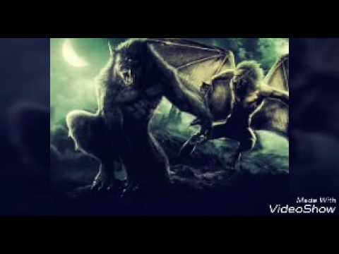 Daniel Landa vlkodlakům