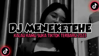 Download lagu DJ MENEKETEHE KALAU KAMU SUKA TIKTOK TERBARU 2023 mp3