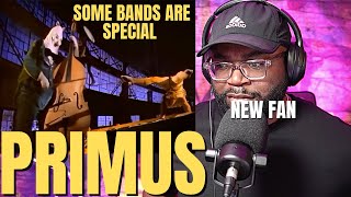 What The... My First Time Hearing Primus - Mr. Krinkle (Reaction!!)