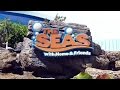 The Seas With Nemo Friends ON RIDE PandaVision Epcot Walt Disney World