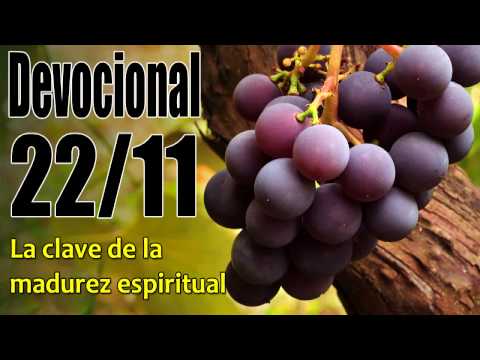La clave de la madurez espiritual. Devocional John Piper solid joys 22/11