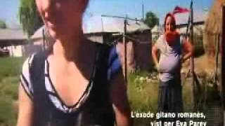 Nómadas a la fuerza / TV3 Telenotícies Comarques / Eva Parey