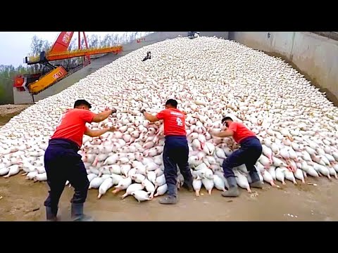 NIESAMOWICIE KREATYWNI PRACOWNICY KTÓRZY SĄ NA INNYM POZIOMIE!