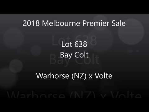 Premier 2018 Lot 638 Warhorse (NZ) x Volte