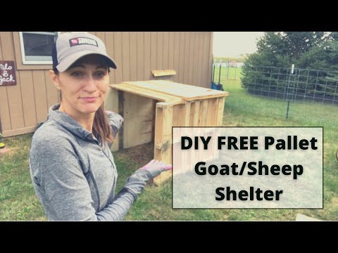 , title : 'DIY FREE Used Pallet Goat/Sheep Shelter'