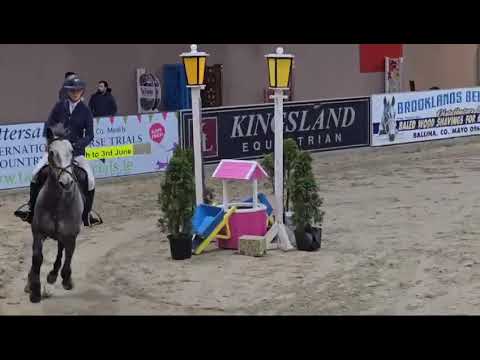 Ariel Jsb 148 showjumper - Image 2