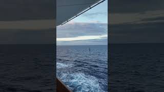 A snippet of the amazing view as the Encounter sails out of Brisbane! #cruise #carnivalcruise