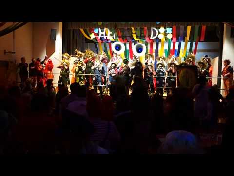 Guggenmusik Tinitus - Einzug & Freed From Desire (SchmuDo-Ball 2018)