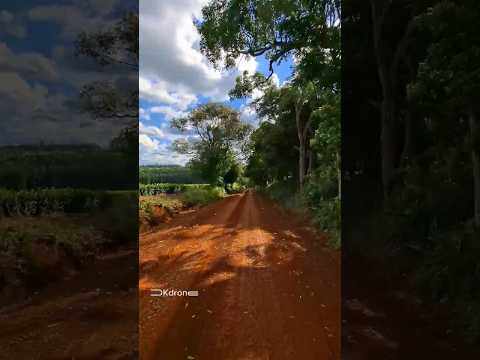 📍Camino 100% Misionero 😁 | Campo Ramón #misiones #rutasypaisajes #tierracolorada #airelibre #bici