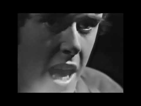 Sept. 30, 1965 | Donovan Performs “Catch the Wind” on “Shindig”