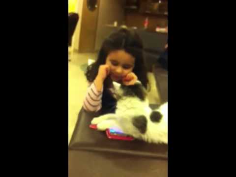 Küçük cadinin kediyle tlf kavgası 😄