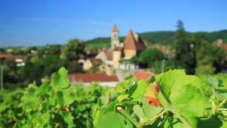 preview picture of video 'Franche-Comté : impressions naturelles - Arbois et ses environs'