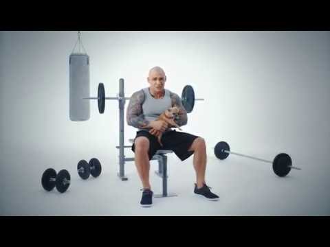 Raiffeisen Polbank - Piesek - GPD Agency