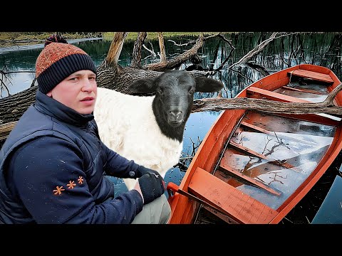 WE MADE A TERRIBLE MISTAKE! 😱 WE WENT TO THE BLUEBERRY FARM ON NEW YEAR'S! 🎉