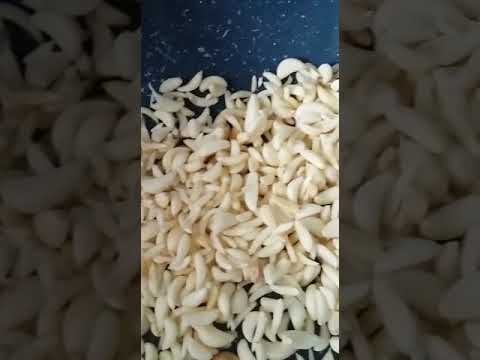Garlic Peeling Machine