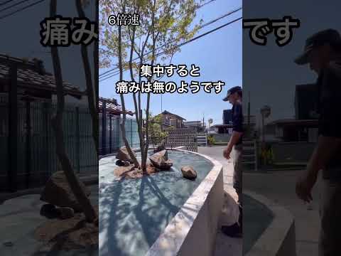 造園 – 最大限の快適さを実現する 26 のトレンディーなアイデア  庭園