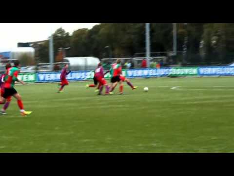 Zuidvogels B1-CDW B1