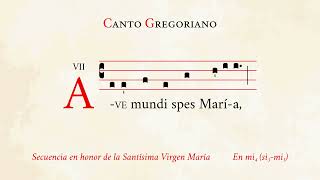 «Ave mundi spes Maria» – Secuencia en honor de la Santísima Virgen María – Canto Gregoriano