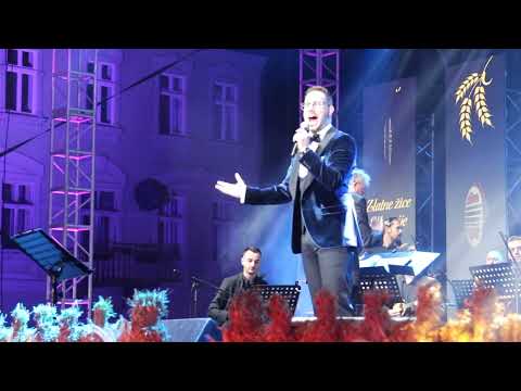 Retrospektiva najljepših skladbi   Filip Hozjak