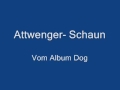 Attwenger - Schaun 