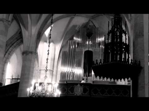 Martin Bako: Chaccone - Toccata improvisation on new Woehl´s organ in Bratislava / part 2