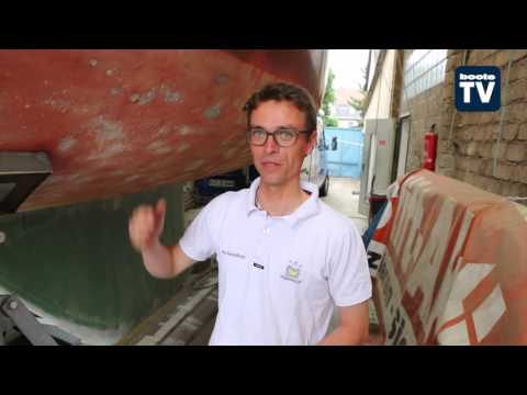 Osmose – Mythos und Wahrheit