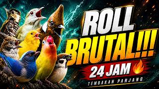 Download lagu #5 MASTERAN MURAI BATU KOMBINASI 7 ISIAN BURUNG LENGKAP - MUDAH DITIRU & CEPAT MASUK‼️ mp3