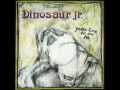 Dinosaur Jr - In a Jar