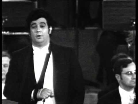 Mozart   DON GIOVANNI   "Il mio tesoro"