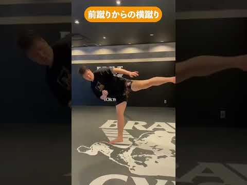 極真空手世界王者の前蹴りからの横蹴り #Shorts