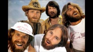 The Beach Boys - Hey Little Tomboy (From the Adult Child album)