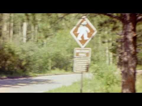 Colorado Springs Super 8