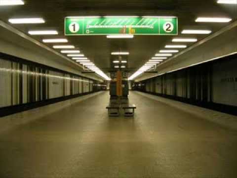 umagarde holly - Dejvická