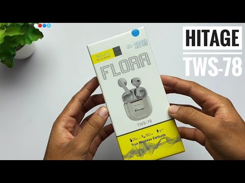 TWS Playhard dingo music シニュトレカ くんたま on X: 