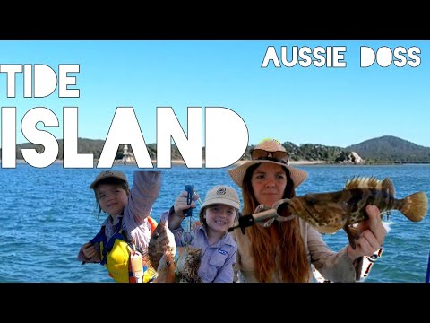 Tide Island with the Fam, Gladstone Harbour. #fishing #gladstone