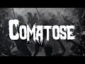 Skillet Comatose Lyrics