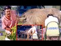 Brahmanandam And Kota Srinivasa Rao Hilarious Comedy Scene Telugu Comedy Scene Telugu Videos