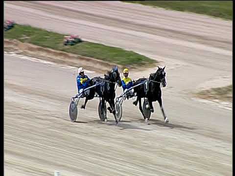 Trotto 07/04/2019 - prova di qualifica