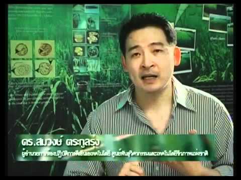 ค๊อกเทลที่ดีที่สุดสำหรับความแรง สูตรกำไรแรง