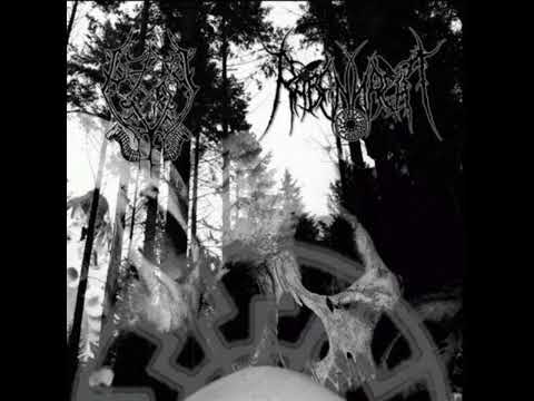 Stahl Blitzt Kalt (Absurd Cover) - Gassturm/Rabennacht 