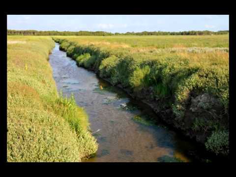 Wo ist nur der Sommer geblieben? Friesland - Jan Vorwärts