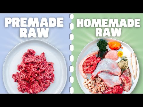 Differences Between Pre-made & Homemade Raw Diets - For Beginners!