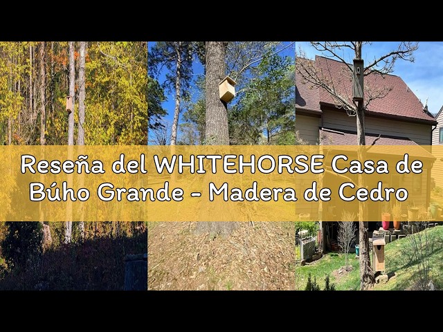 Vídeo relacionado con WHITEHORSE Casa de Búho Grande - Madera de Cedro Premium - Diseño a Prueba de Clima - 41 x 30 x 28 cm - Una Caja de Anidamiento para Varias Especies de Búhos Europeos