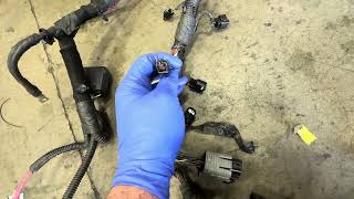 3.6L oil in the wiring.