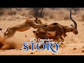Create EPIC Documentary Style Videos In Minutes With Open Art Story