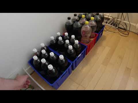 MongoTV_7557 - Del 2 - KØBT LILLE LAGER AF BILLIG MAD OG DRIKKE FRA LIDL