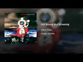 Julian Cope - Not Raving But Drowning